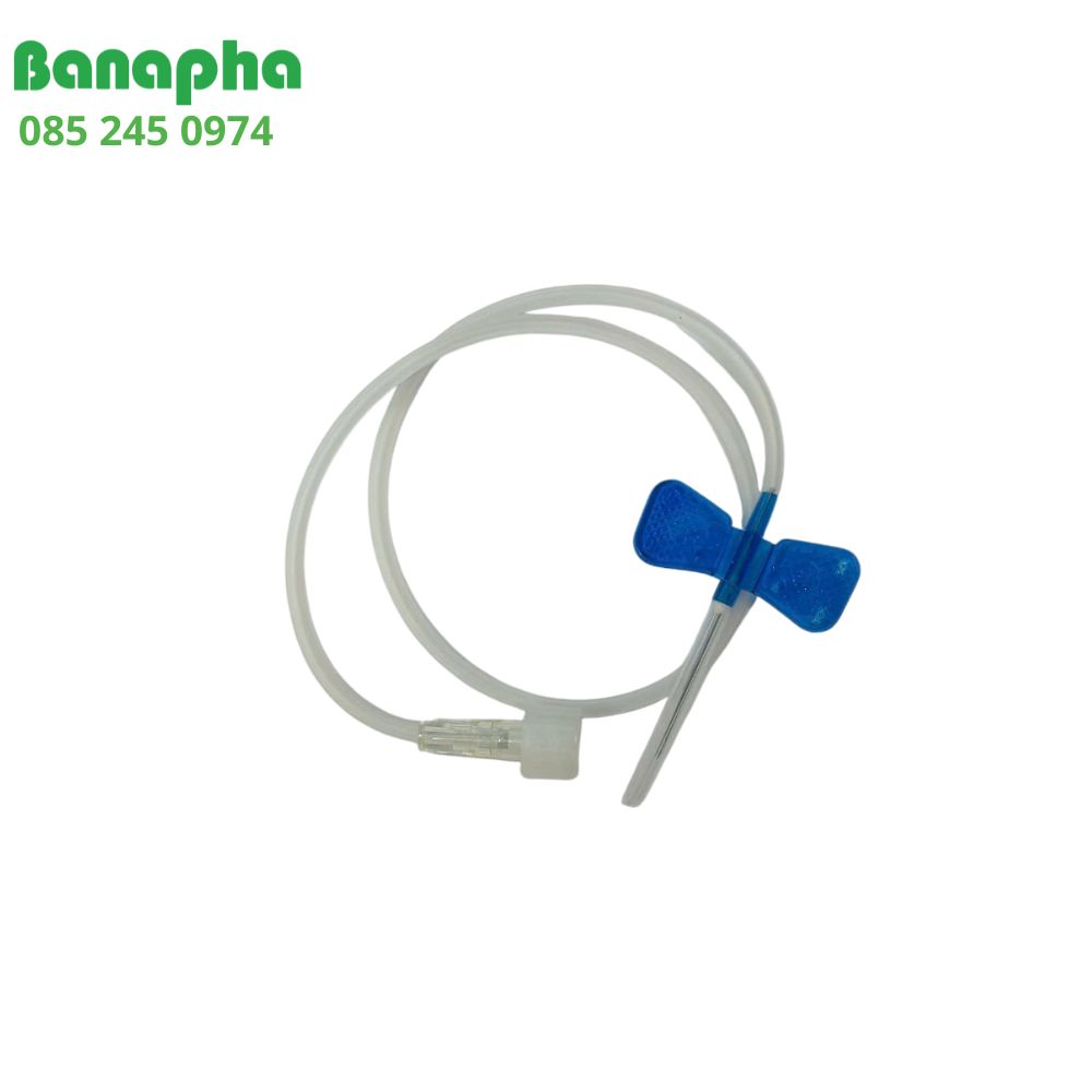 kim cánh bướm kim cánh bướm