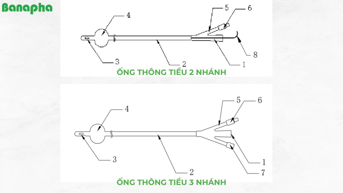 ống thông tiểu