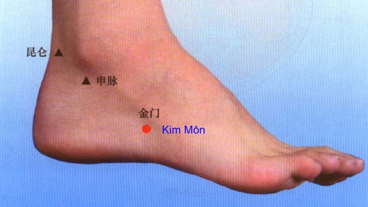 huyệt kim môn