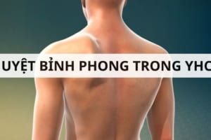 Huyệt Bỉnh Phong là gì? Vị trí, tác dụng và cách châm cứu hiệu quả